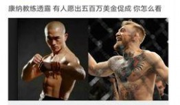 嘴炮爆料妻子怀孕视频,甜蜜视频曝光引网友热议