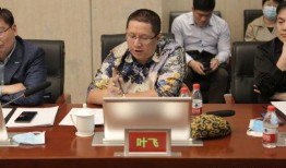 叶飞爆料原稿视频,内幕交易黑幕全解析