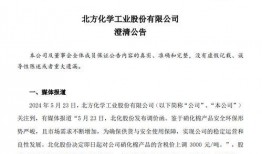 最新小作文爆料股票,股票市场风云再起