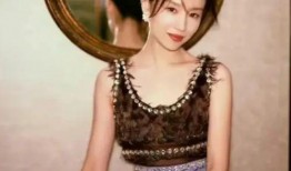 董洁娱乐爆料视频大全最新,揭秘明星幕后故事