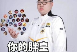 狼队小胖爆料视频大全集,揭秘幕后故事与精彩瞬间