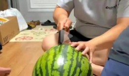 免费网红吃瓜神器现场,现场体验，畅享免费美食盛宴