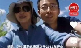 天涯爆料老外视频大全集,老外视频大全集精彩瞬间汇总