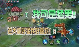 王者大嘴爆料视频大全下载