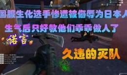 黑龙爆料辛卫林视频播放,辛卫林视频播放背后的惊人真相