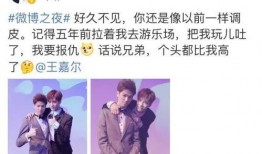 娱乐圈吃瓜双男主小说,瓜田里的甜蜜邂逅