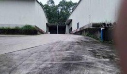 今日花都爆料炭步镇违建,违规建筑引发关注，花都整治行动即将展开