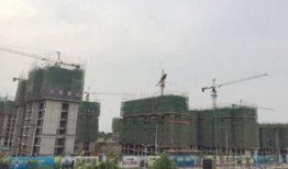 肥乡最新爆料,揭秘背后惊人真相！