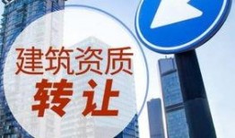 劳务新闻爆料,最新爆料揭示行业变革与挑战