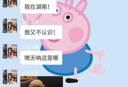 娱乐圈爆料群怎么加微信,如何轻松加入微信，掌握最新八卦动态