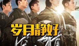 电影空天猎在线观看,揭秘我国空军精英的壮志凌云之旅
