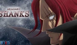 最新海贼爆料视频大全在线观看,精彩剧情抢先看