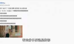 爆料小花分手视频大全,揭秘明星恋情背后的真相