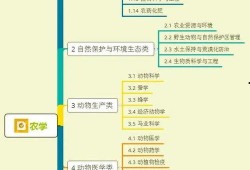 甜水面哥视频爆料大全集