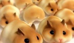 仓鼠米仔动作爆料视频,揭秘可爱动作背后的秘密