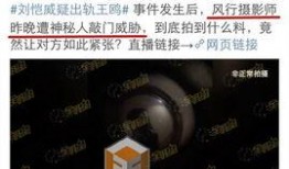 记者爆料新疆事件视频,记者现场直击惊人一幕