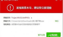 病毒专家爆料视频播放,病毒传播真相与防控策略深度解析