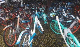 郑州自行车爆料视频,揭秘城市交通新现象