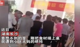 沈阳业主群爆料事件最新,揭露小区物业乱象，业主权益受损引关注