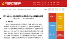 信息爆料式新闻案例分析,案例分析背后的真相与影响