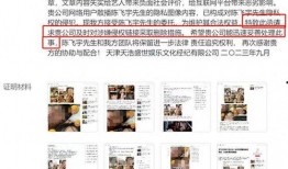 陈飞爆料视频最新,事件背后惊人真相