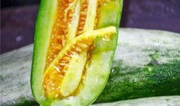 网红的吃瓜网站有哪些呢,一网打尽娱乐圈最新动态