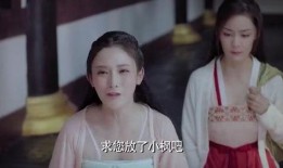 枫丹爆料视频最新版下载,揭秘游戏内幕与精彩瞬间