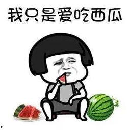 娱乐圈吃瓜动画片叫什么