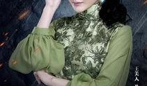 老九门在线观看全集免费,揭秘民国奇案，探寻神秘古墓之谜