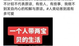 日记爆料事件视频,事件视频背后的惊人真相