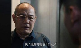 老董爆料王胖子视频,王胖子视频背后的惊人真相