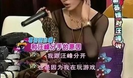 章子怡弟弟爆料视频,揭秘娱乐圈不为人知的一面
