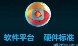 新疆广播电台爆料视频,揭秘神秘事件背后的真相