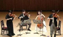 四重奏日剧在线观看,音乐与生活的交响曲