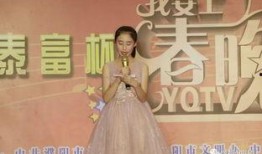 濮阳今日爆料主持人,揭秘主持人的魅力风采